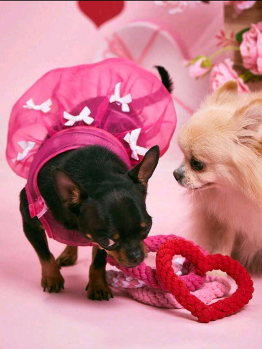 Heart-shaped toy for puppies