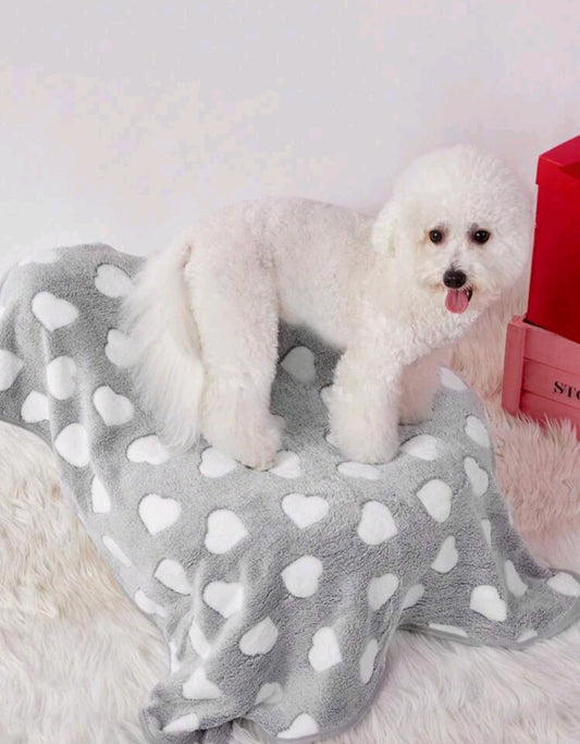 Plaid for puppies decorated with white hearts