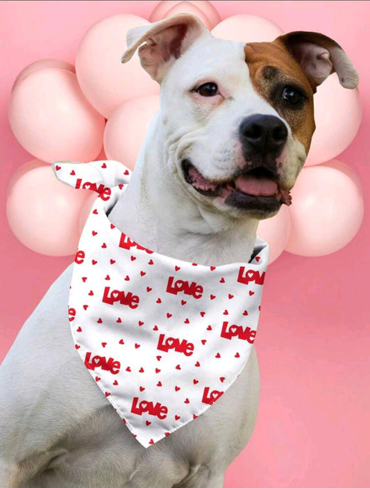 Stylish scarf for puppies with hearts and inscriptions