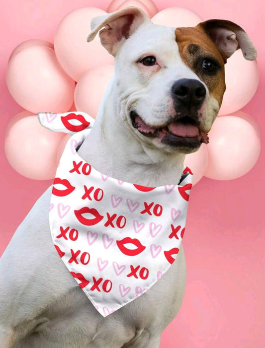 Stylish scarf for puppies with hearts and inscriptions