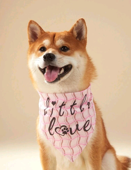 Stilinga skarelė šuniukams su širdelėmis ir užrašais