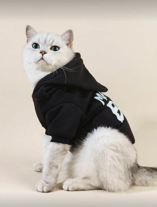 Mama’s Boy“ kačių džemperis – stilingas ir jaukus Jūsų augintiniui!