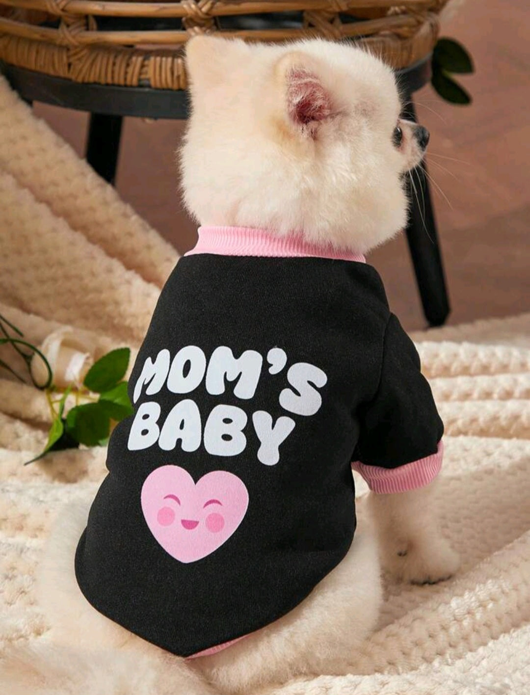 Свитер для щенка Mom's Baby
