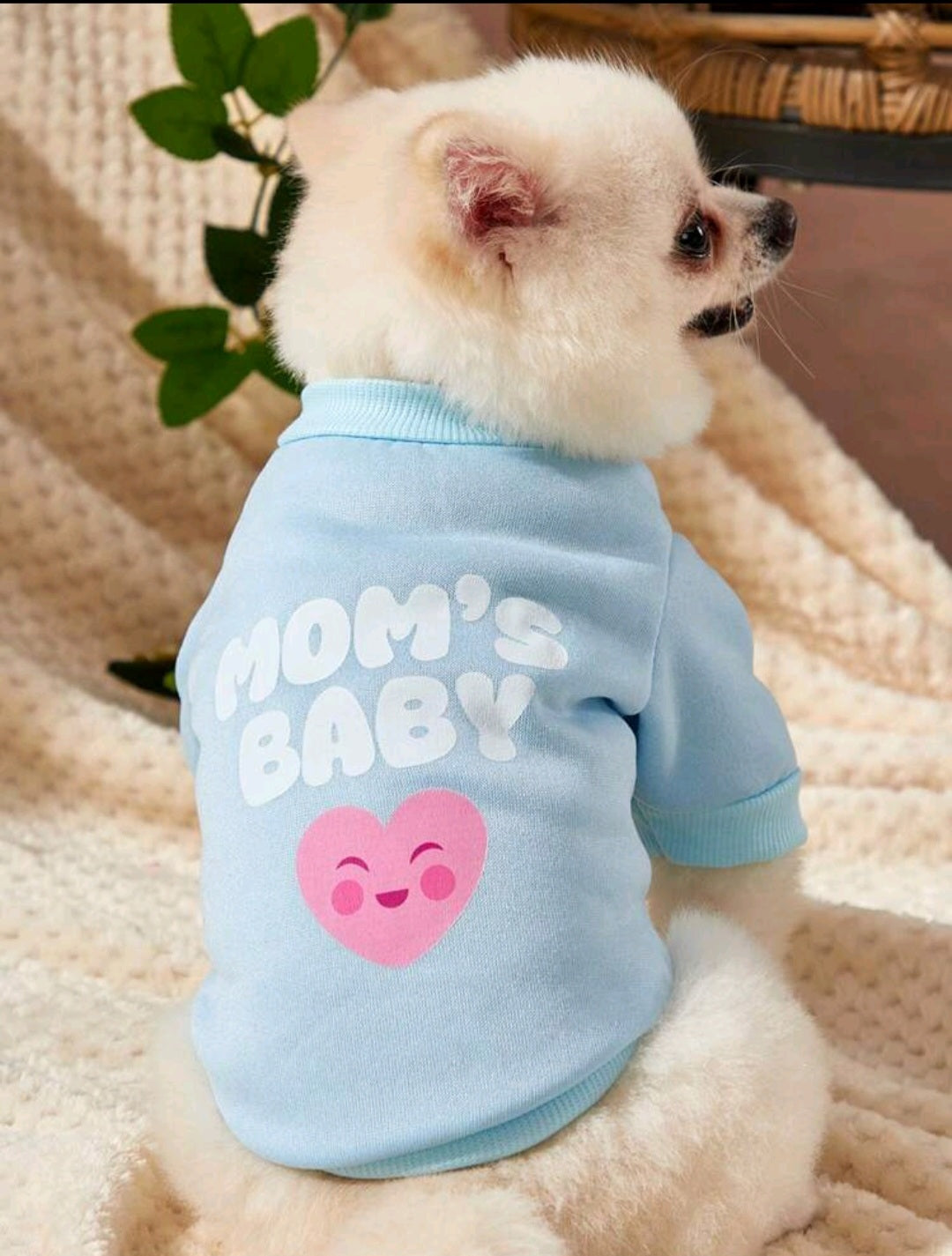 Свитер для щенка Mom's Baby