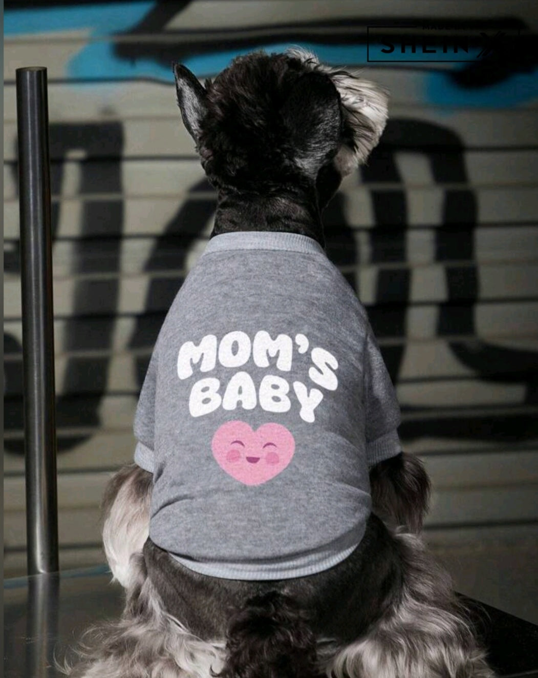 Свитер для щенка Mom's Baby