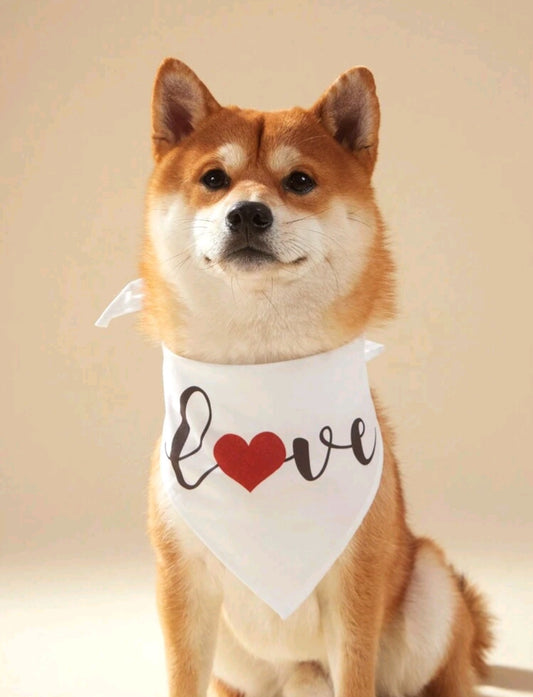 Stilinga skarelė šuniukams su širdelėmis ir užrašais