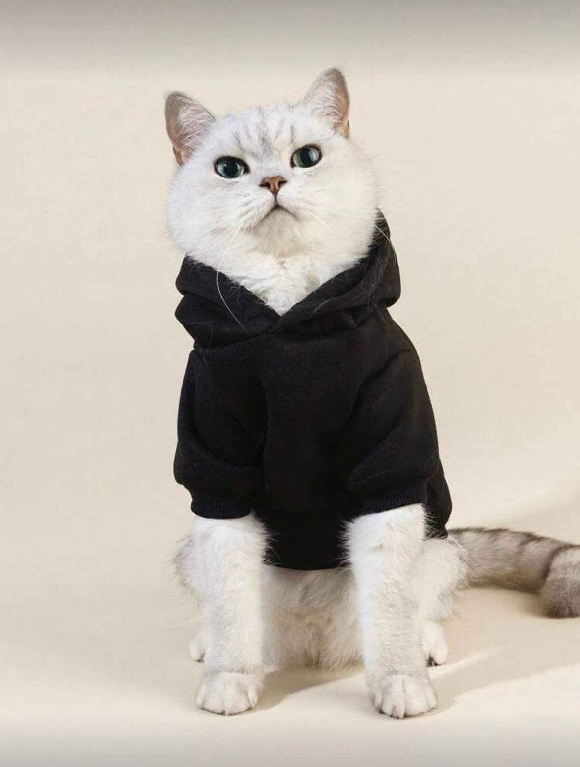 Mama’s Boy“ kačių džemperis – stilingas ir jaukus Jūsų augintiniui!