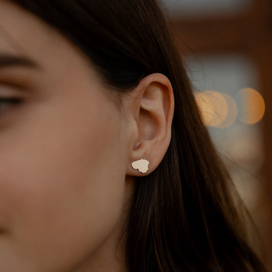 Auskarai Su Meile Lietuvai